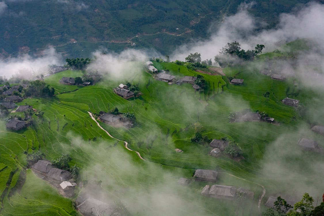 Aerial View Of A Farmland