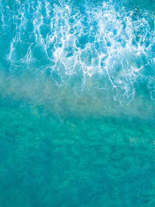 Foto d'estoc gratuïta de aigua, fons de l'oceà, fons de pantalla oceànic