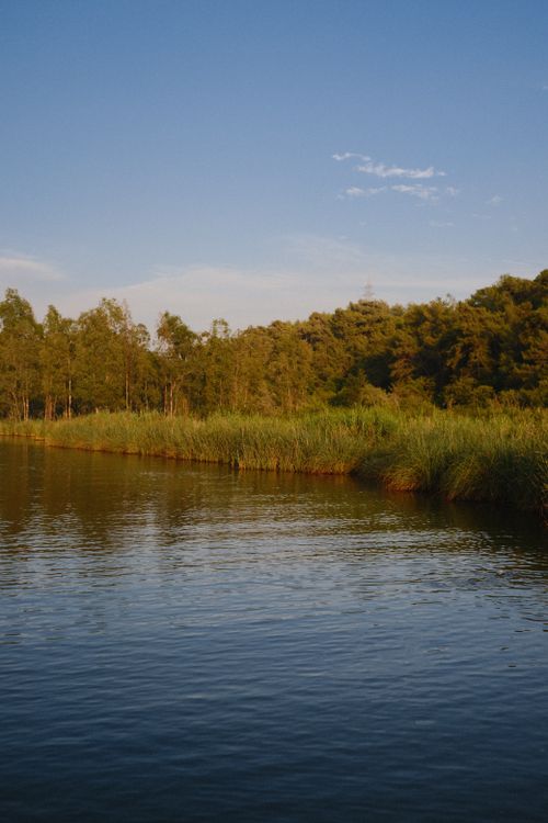 Free Peaceful outdoor landscape with tranquil waters and lush trees at sunrise. Stock Photo