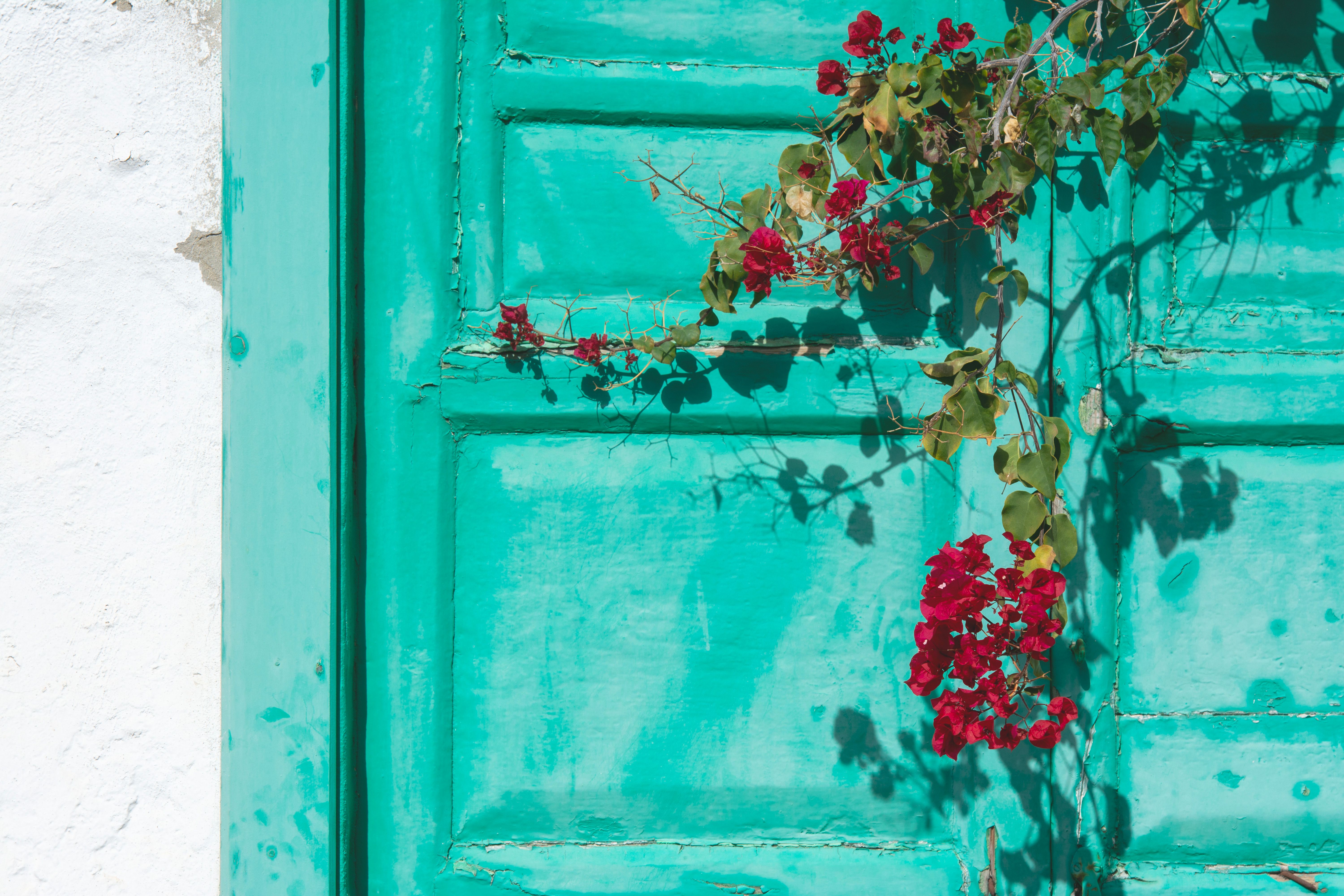 uPVC Spraying in Crystal Palace — woodwork brushed to a crisp, smooth line