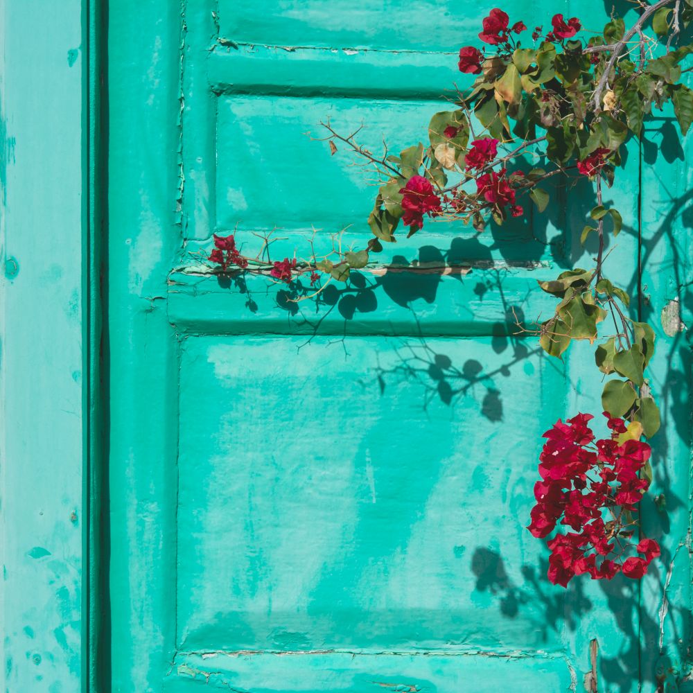 uPVC Spraying in Crystal Palace — woodwork brushed to a crisp, smooth line