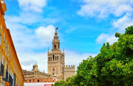 Cathedral and Giralda climb — Seville