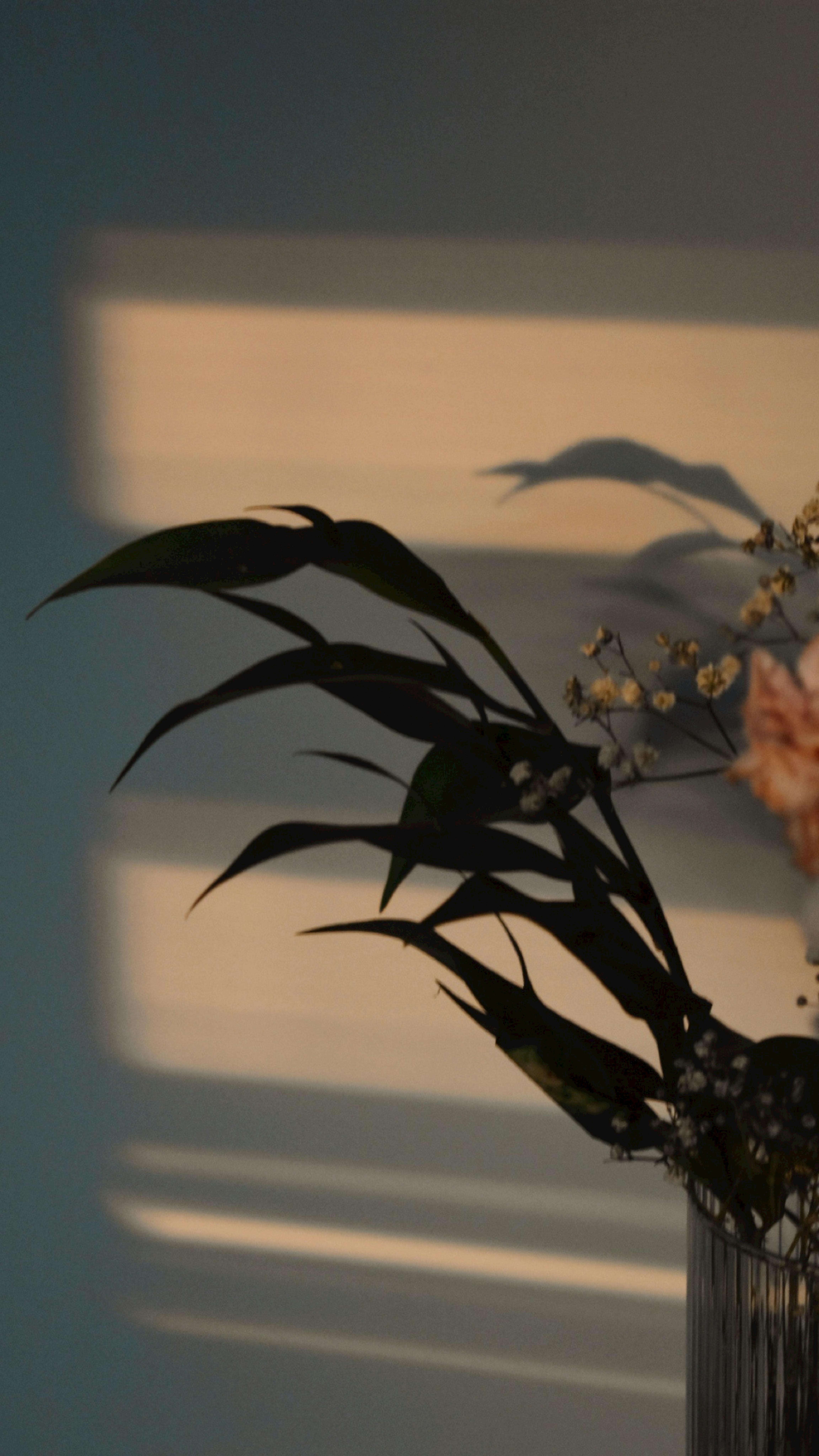 Key Features ​of the ​Chef'sChoice Trizor XV that ‍Elevate⁣ Your Cutting Experience