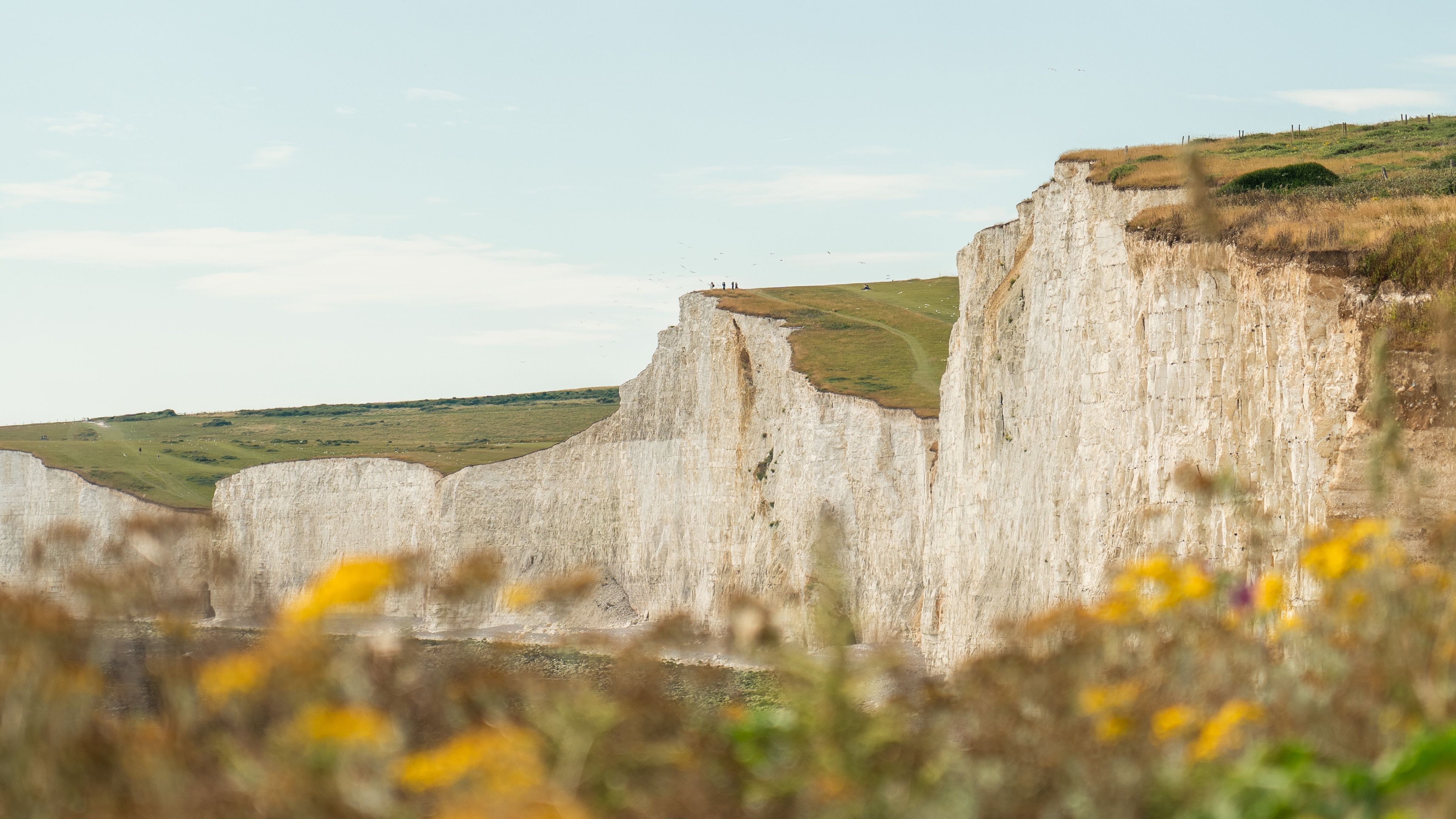 South Downs : le guide pratique d’une randonnée réussie