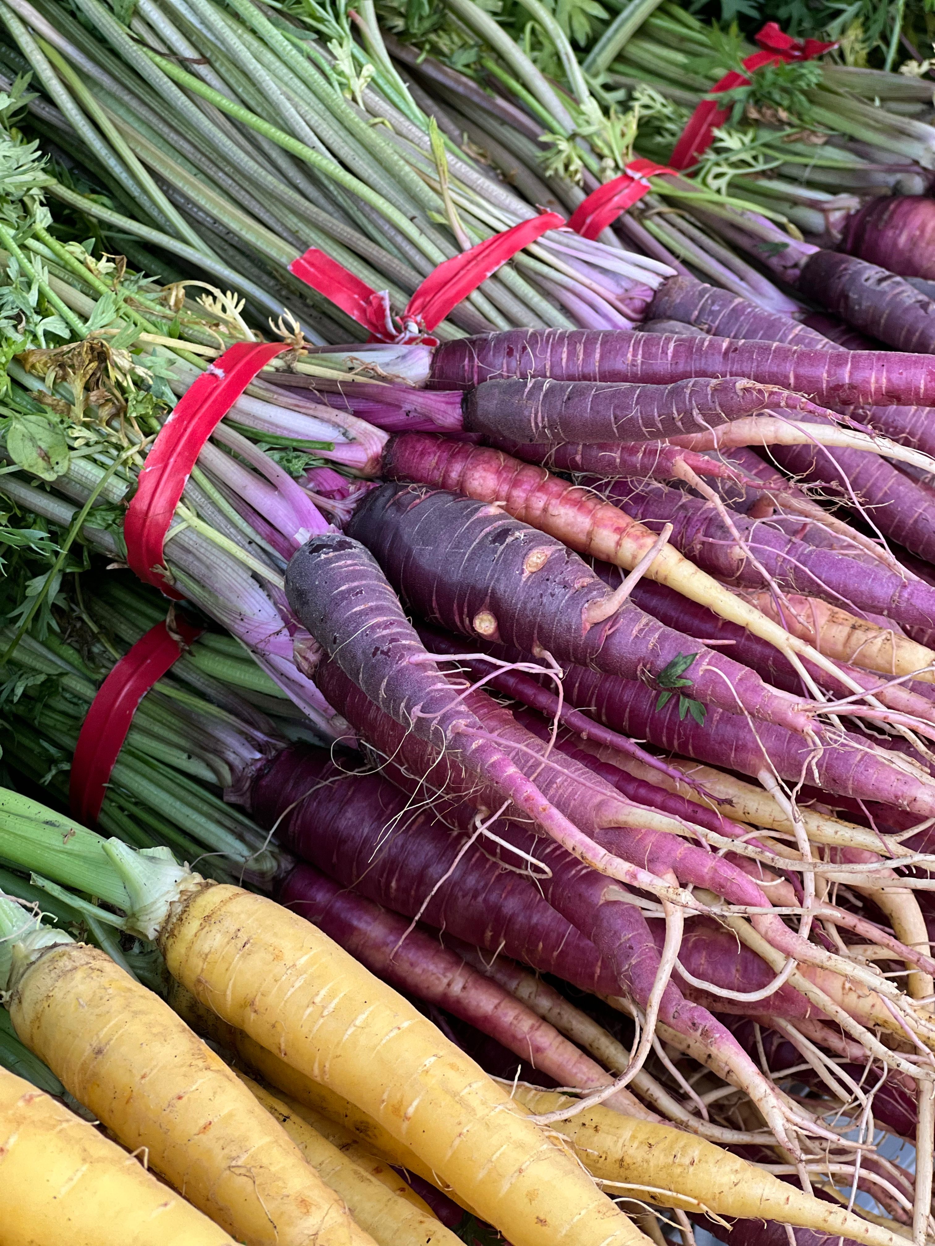 Hortifruti