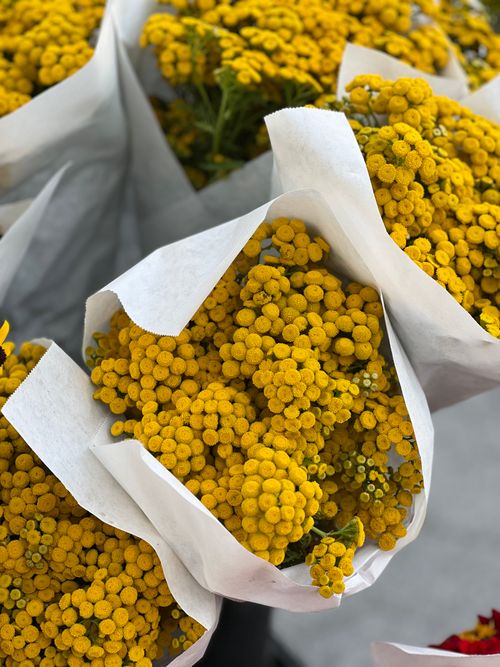 Free Fresh yellow acacia flowers beautifully wrapped in paper, perfect for floral arrangements. Stock Photo