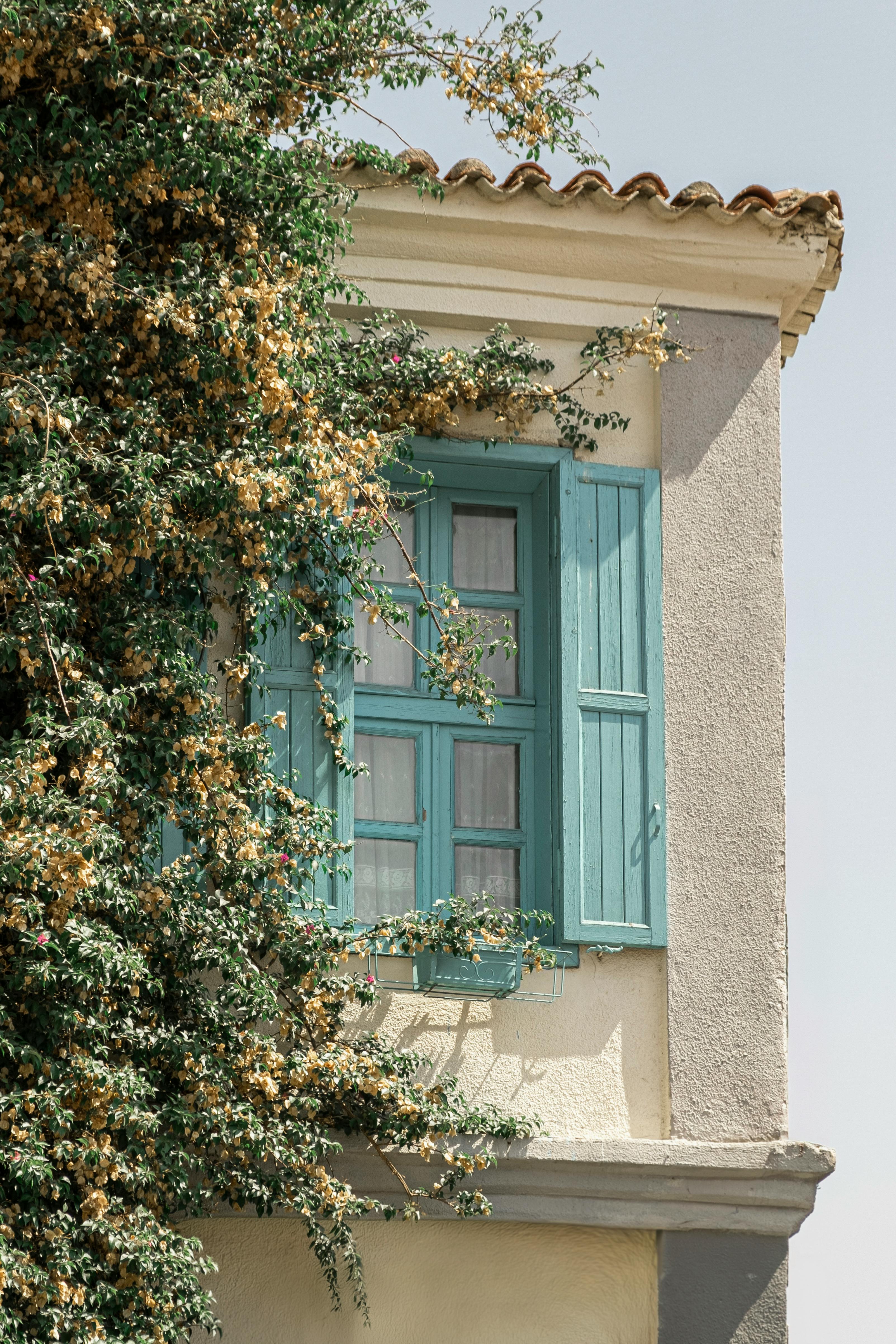 Charming house facade with ivy and shuttered window, ideal for travel imagery.