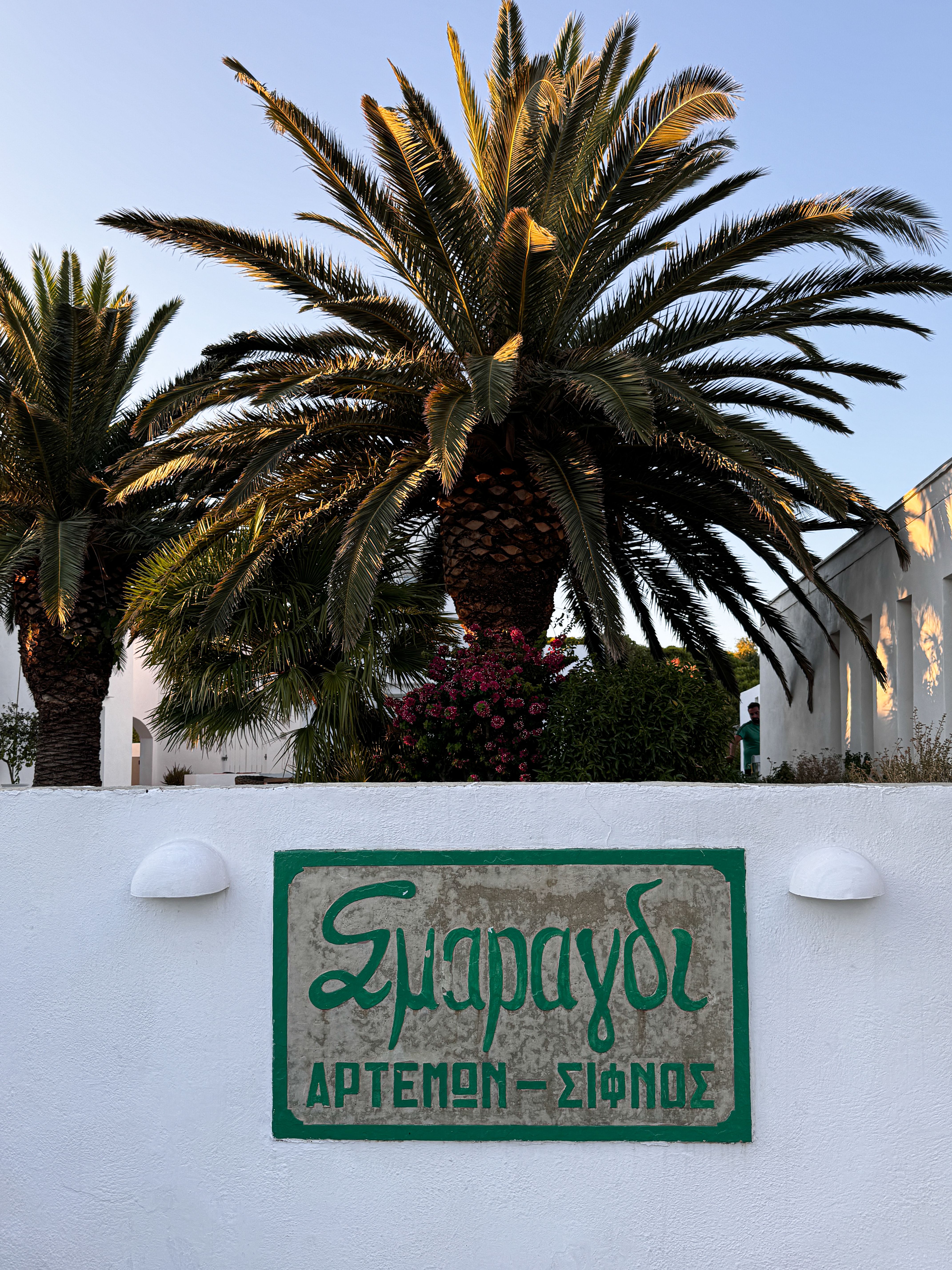 White walls with green sign and palm trees in Sifnos, Greece during sunset creating a tropical ambiance.