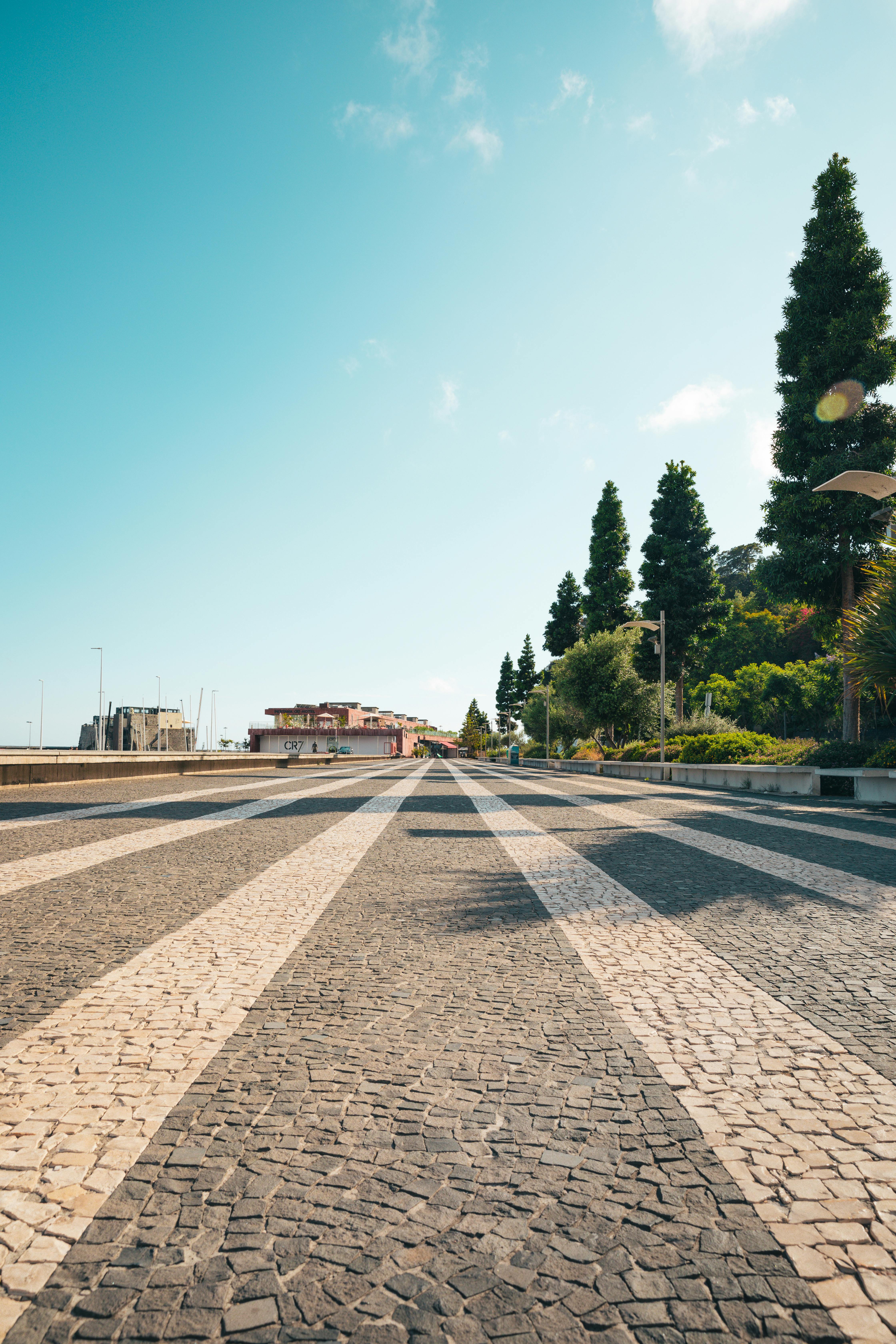 a road with a brick walkway and trees