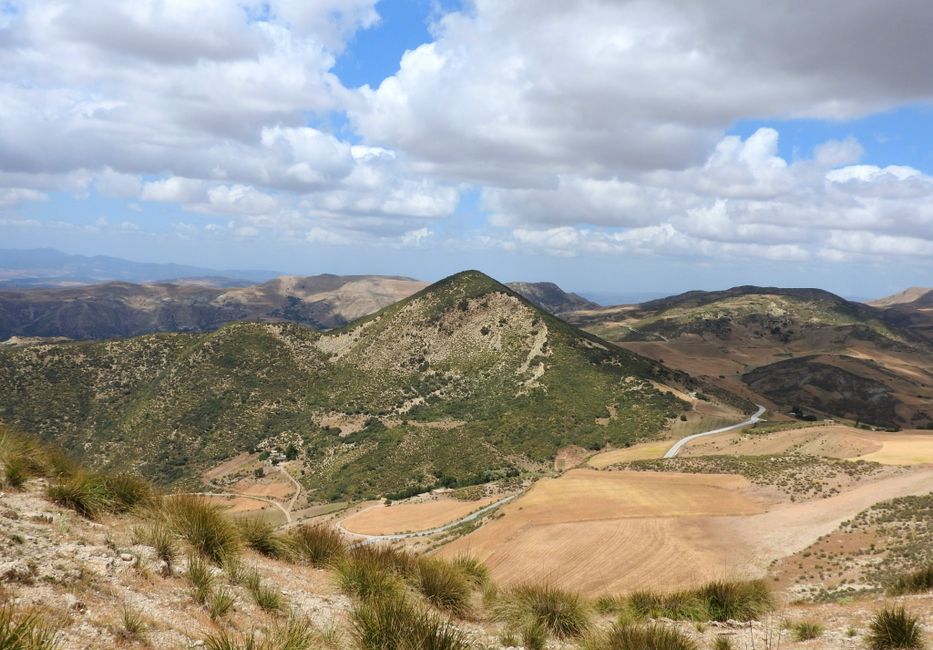 Peut-on vivre en Algérie sans parler anglais ?