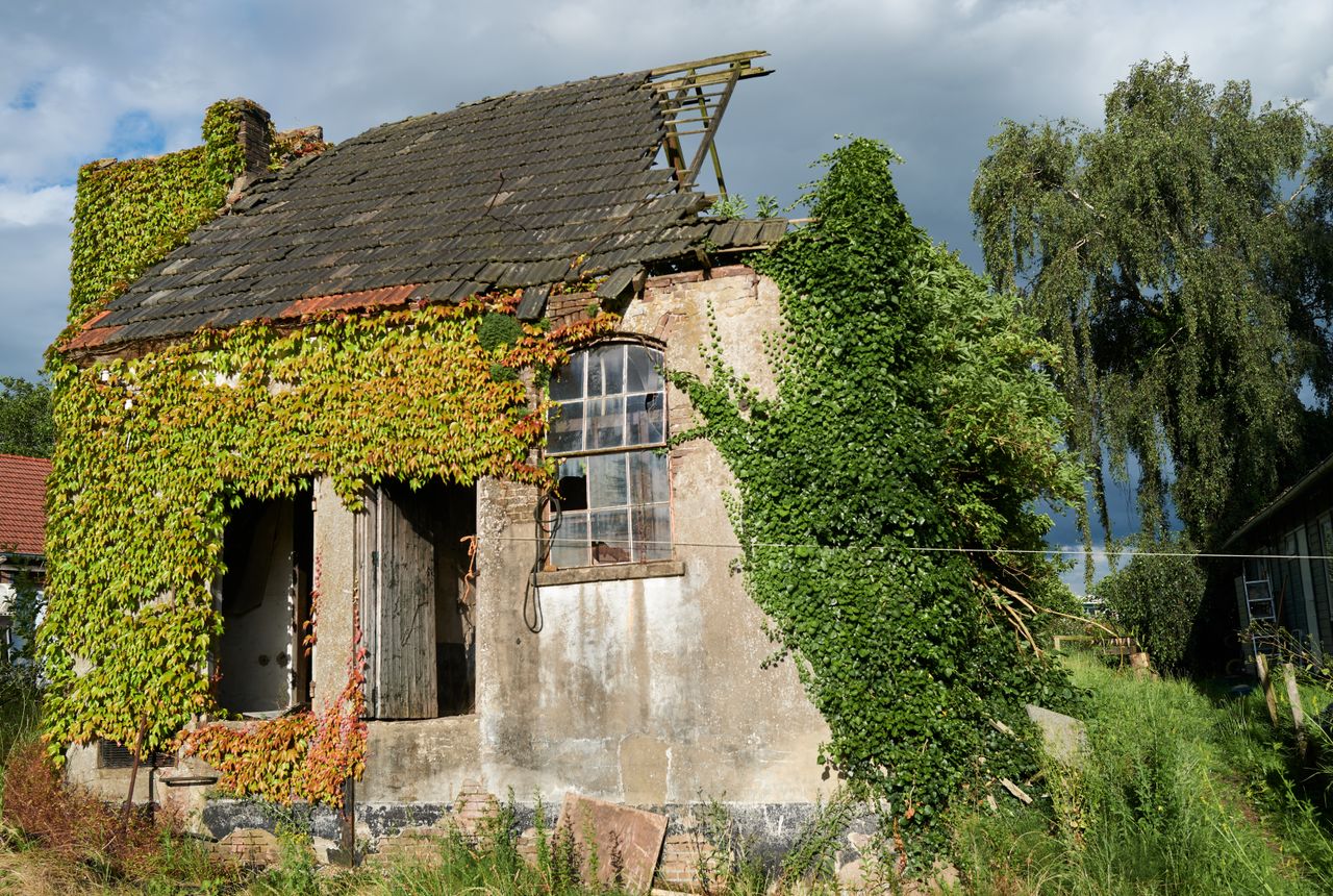 House clearance Beith — removals work in progress