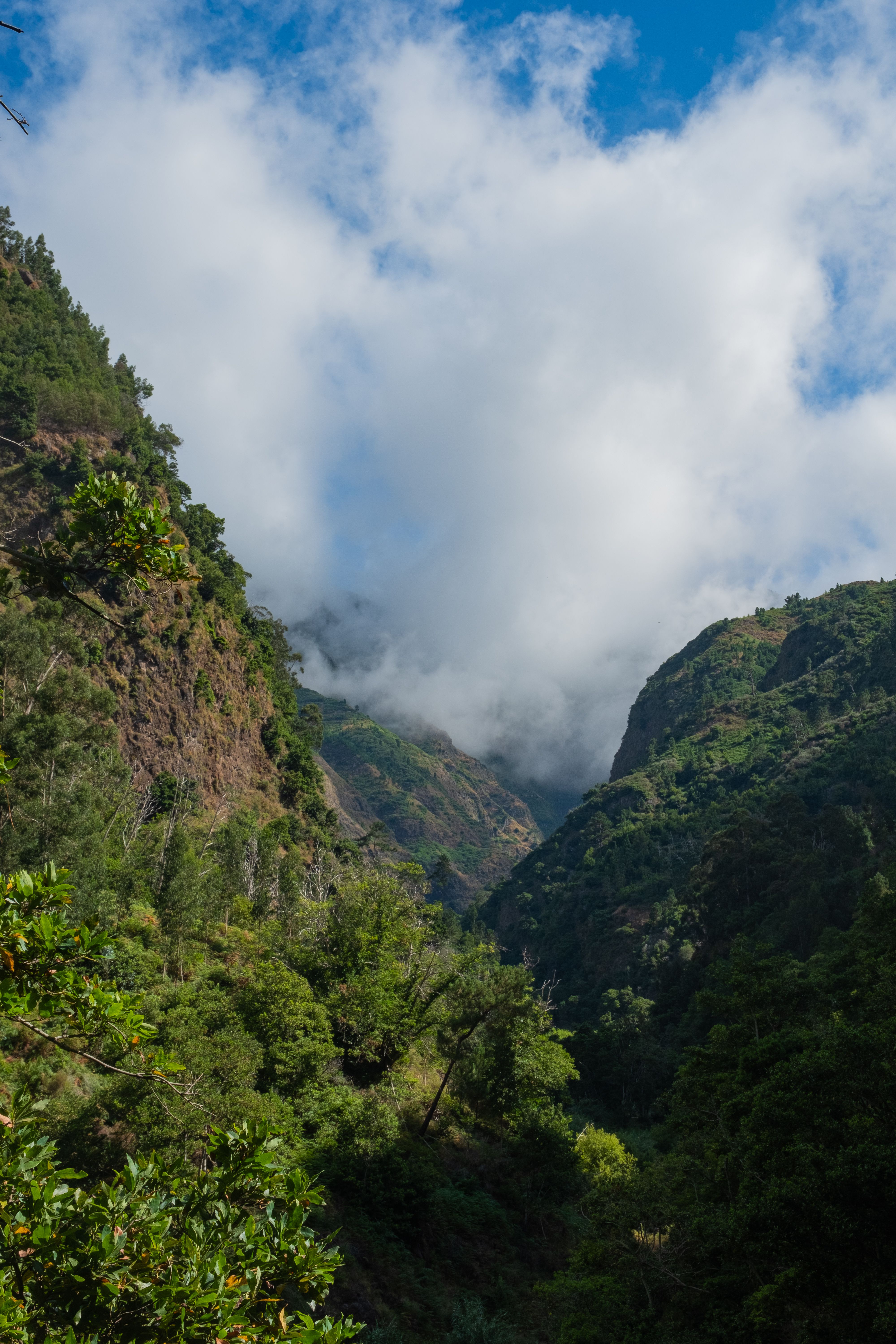 A view of a valley with clouds and trees · Free Stock Photo