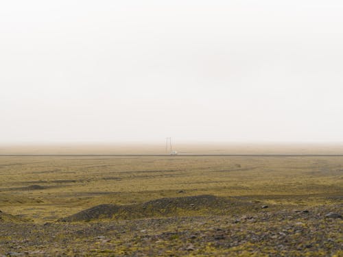Photo of Foggy Grass Field 