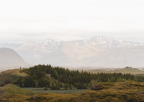 冰岛风景宁静，云雾缭绕的山脉和茂密的森林，非常适合作为宁静的自然背景