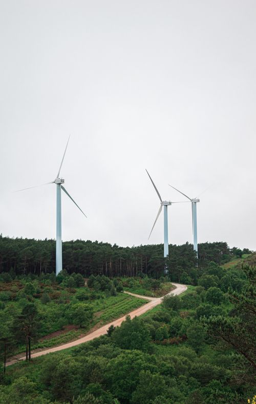 Free Three wind turbines stand tall in lush green countryside, symbolizing renewable energy. Stock Photo