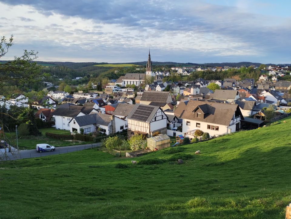 in Manderscheid