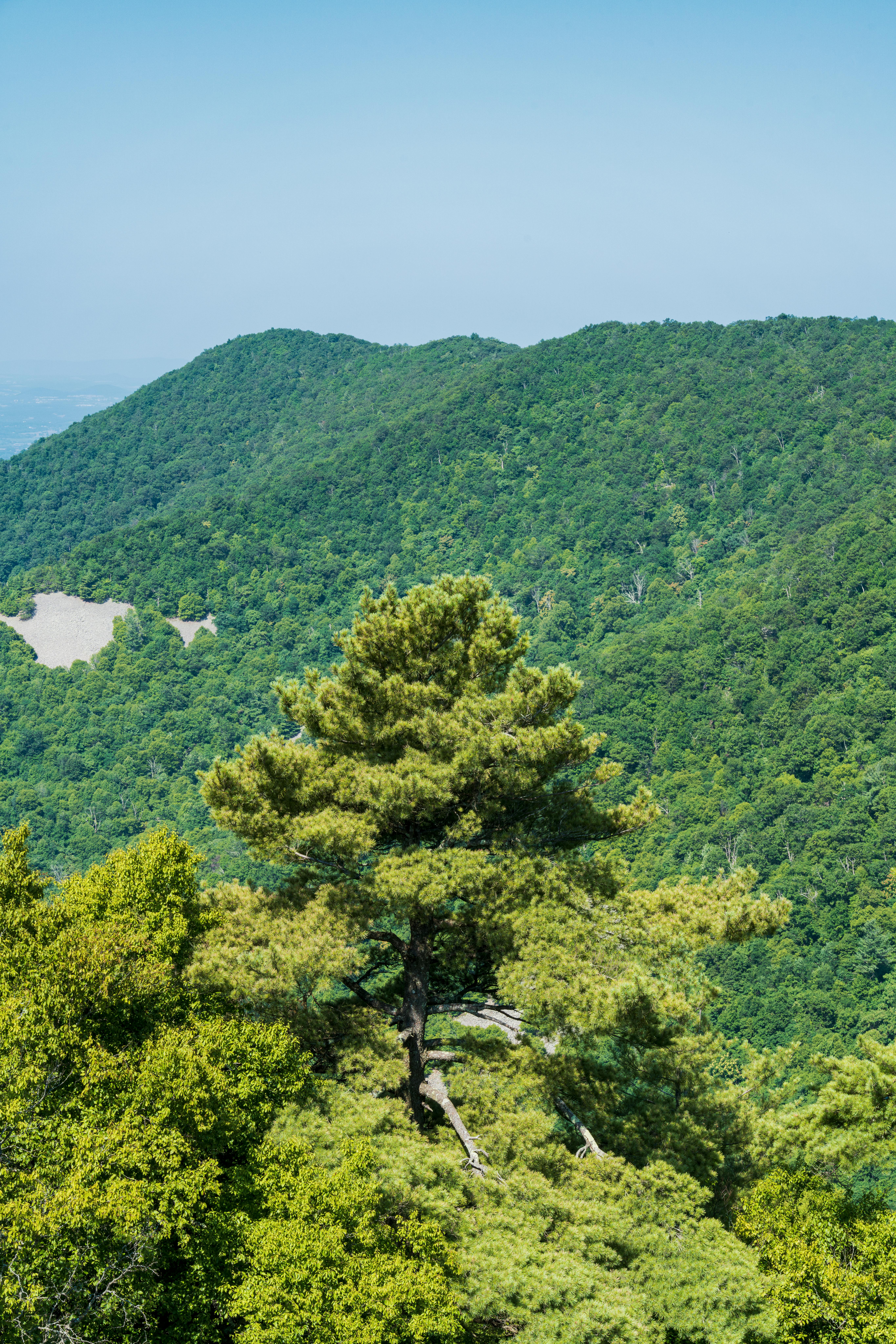 Virginia - Tiny Homes