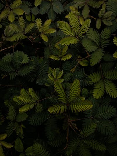 Free Sample Image Photos, Download The BEST Free Free Sample Image ...
