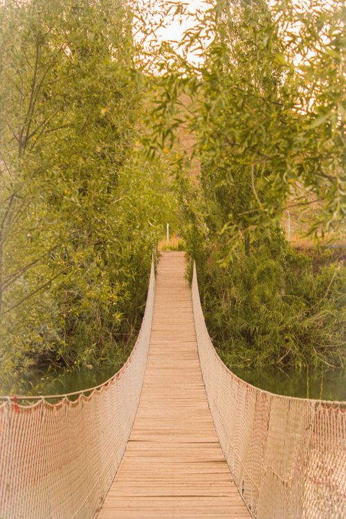 Free A picturesque wooden suspension bridge surrounded by trees in a serene outdoor setting. Stock Photo