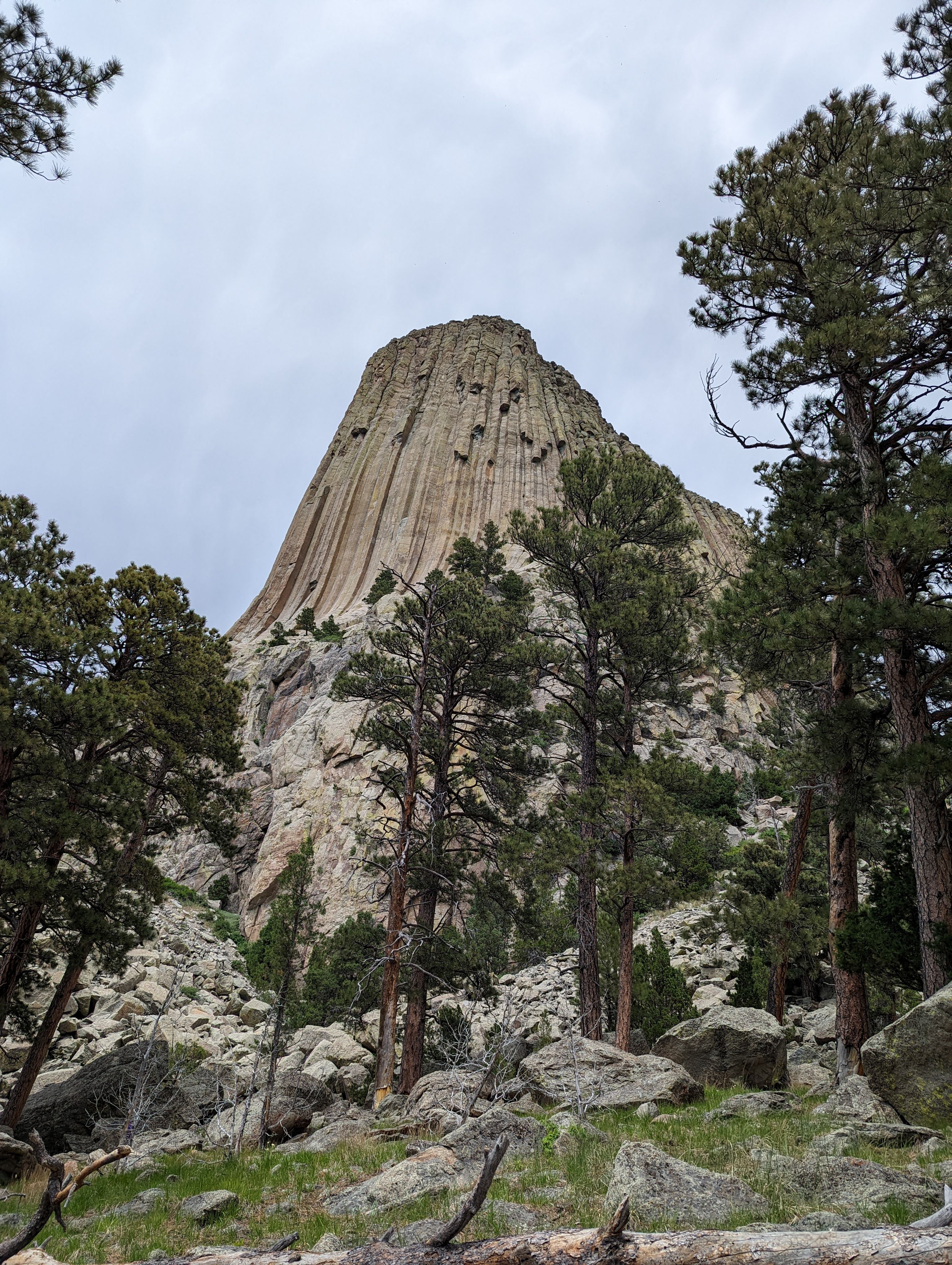 A large rock formation in the middle of a forest · Free Stock Photo