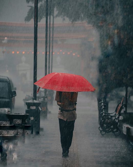 강수량 mm, 왜 숫자보다 세게 느껴질까