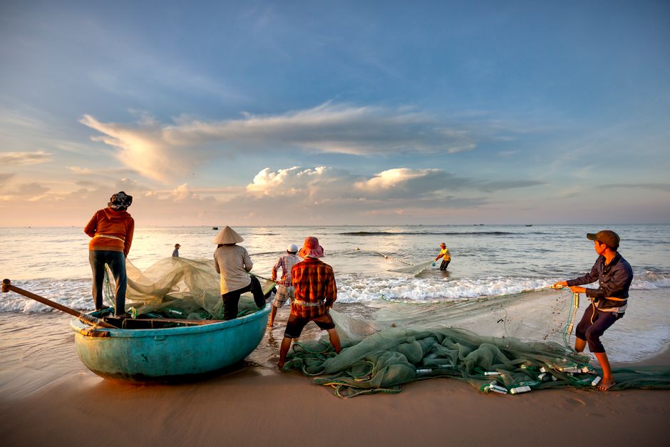 A group of diverse fishermen collaborating to haul nets on a serene beach during sunset.