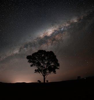 A stunning view of the Milky Way galaxy arching over a tree silhouette at night in Cressbrook, Australia.