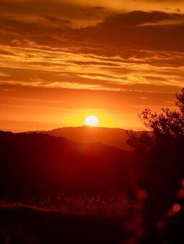 Stunning golden sunset over rolling hills in California, capturing nature's beauty and summer warmth.