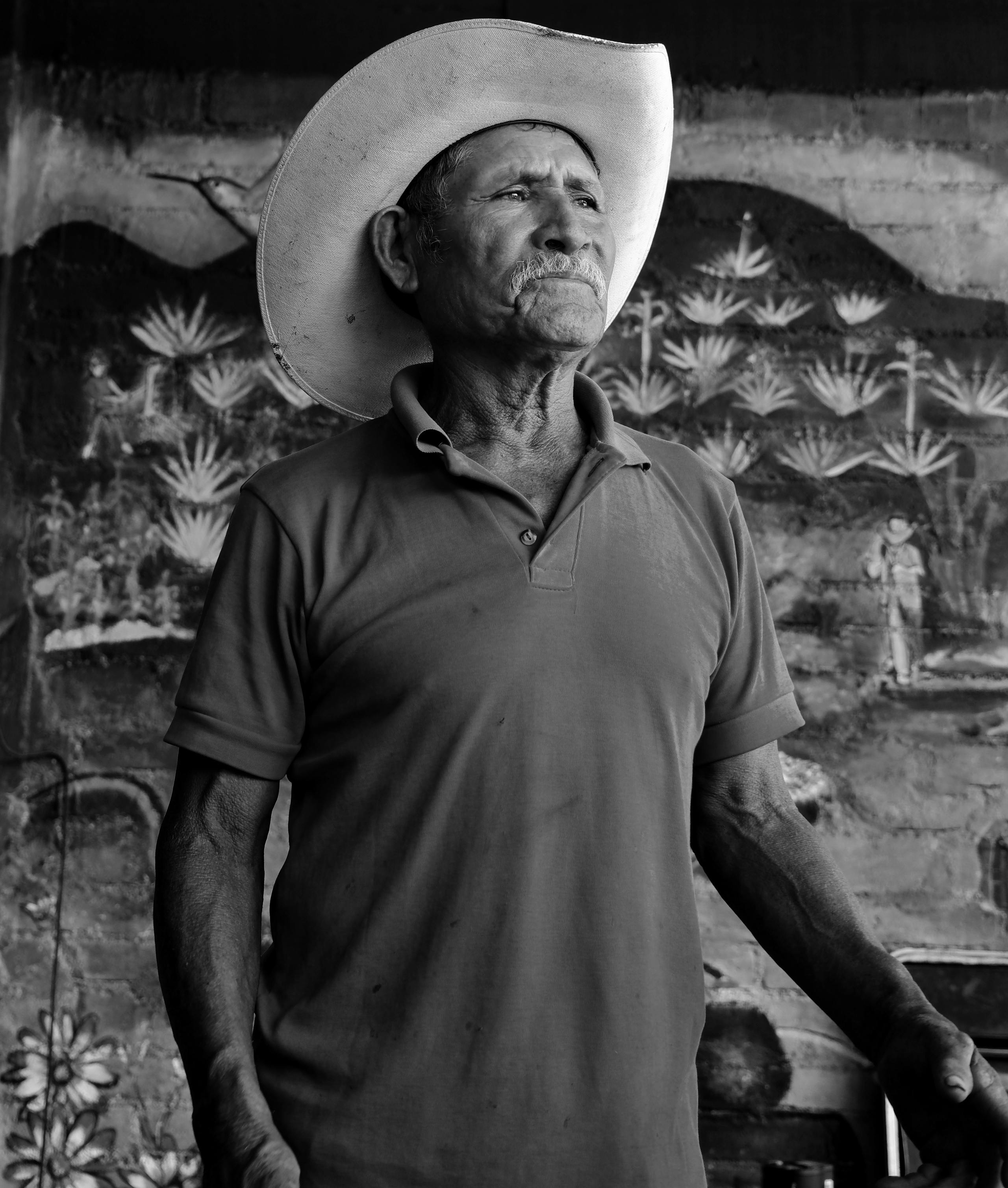Old Mexican Man Photos Download The BEST Free Old Mexican Man Stock old-mexican-man-photos-download-the-best-free-old-mexican-man-stock