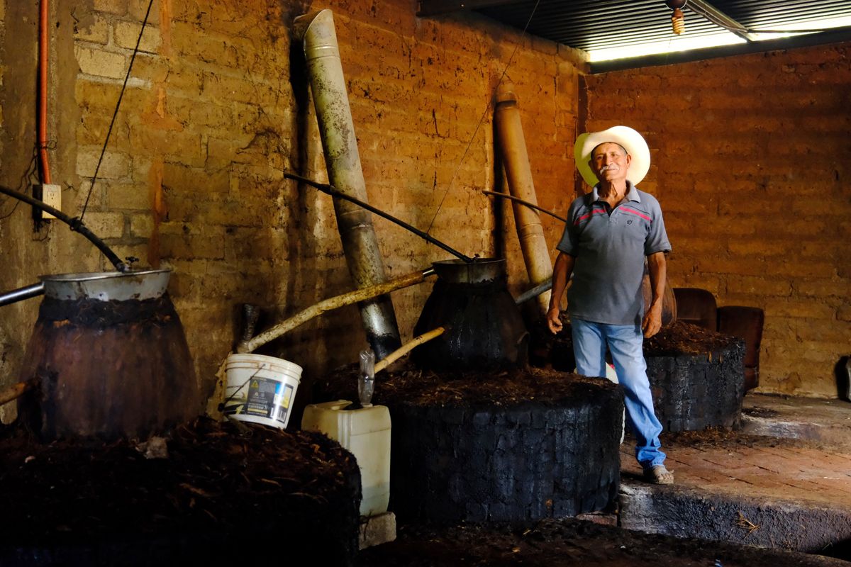 Degustación de Mezcal