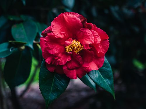 5mb Photo Photos, Download The BEST Free 5mb Photo Stock Photos & HD Images