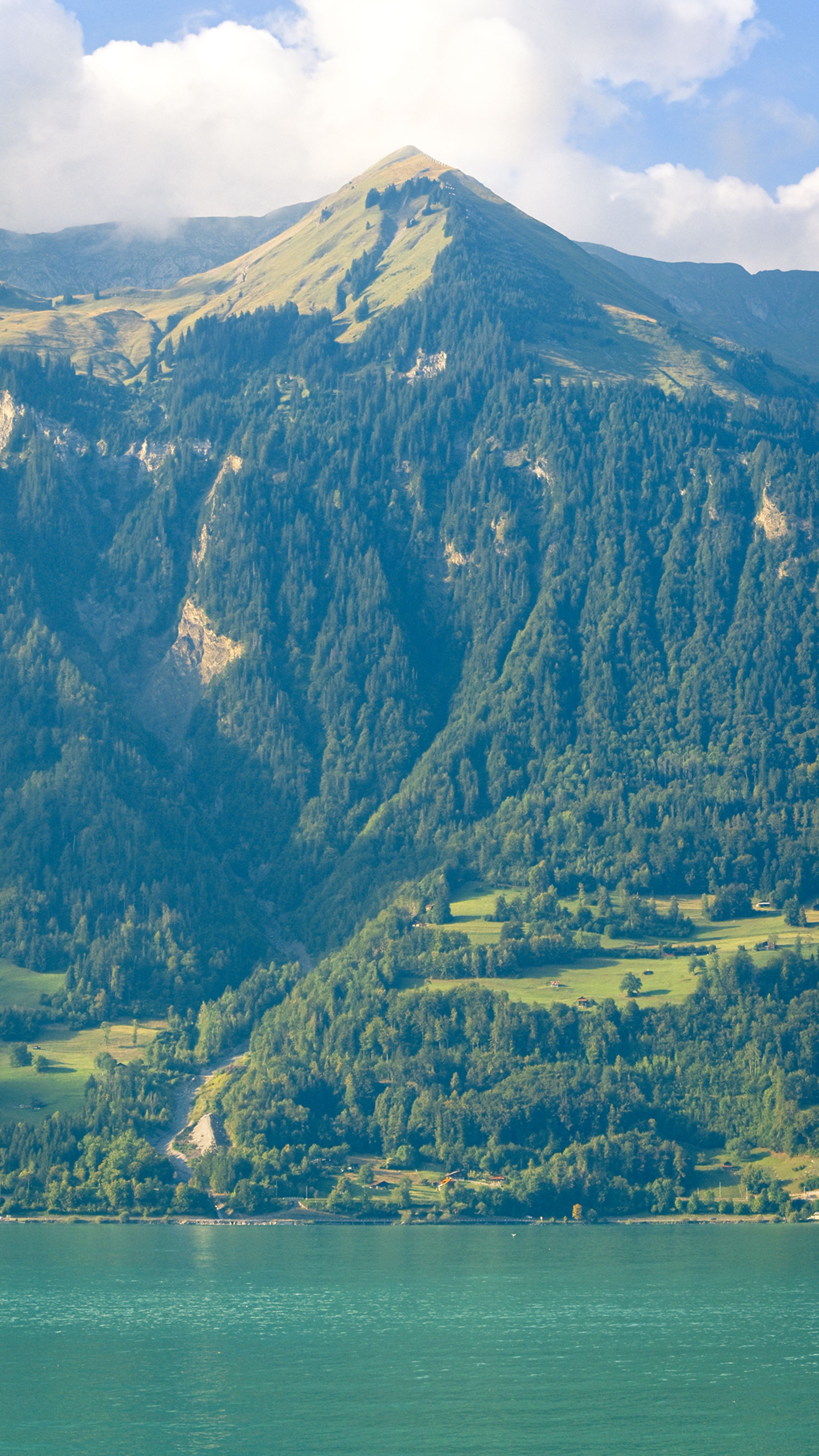 Stunning landscape of Lake Brienz with lush greenery and majestic Swiss Alps.
