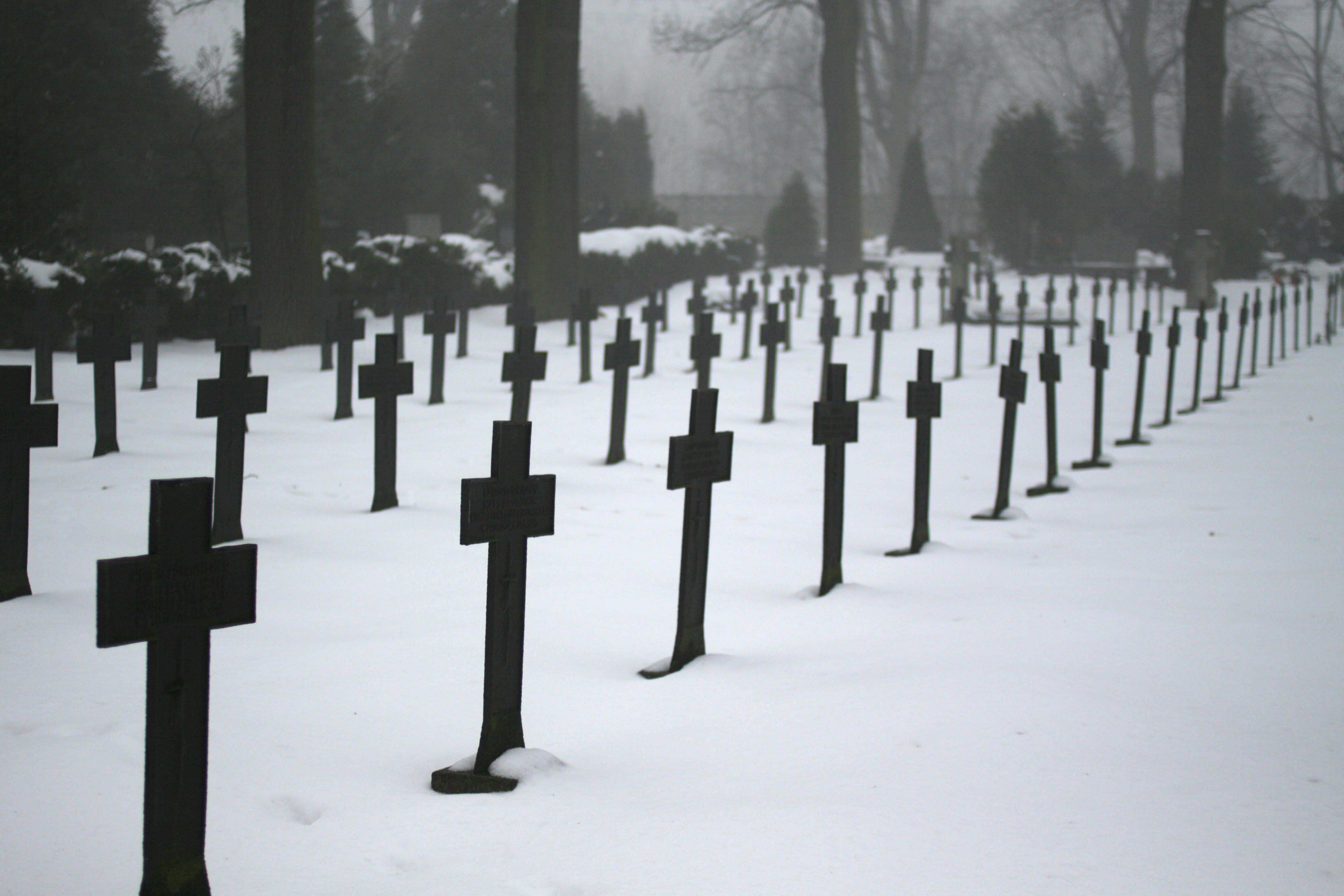 七年死亡交叉預示比特幣底部約在九萬五千美元，將突破至一四五千美元