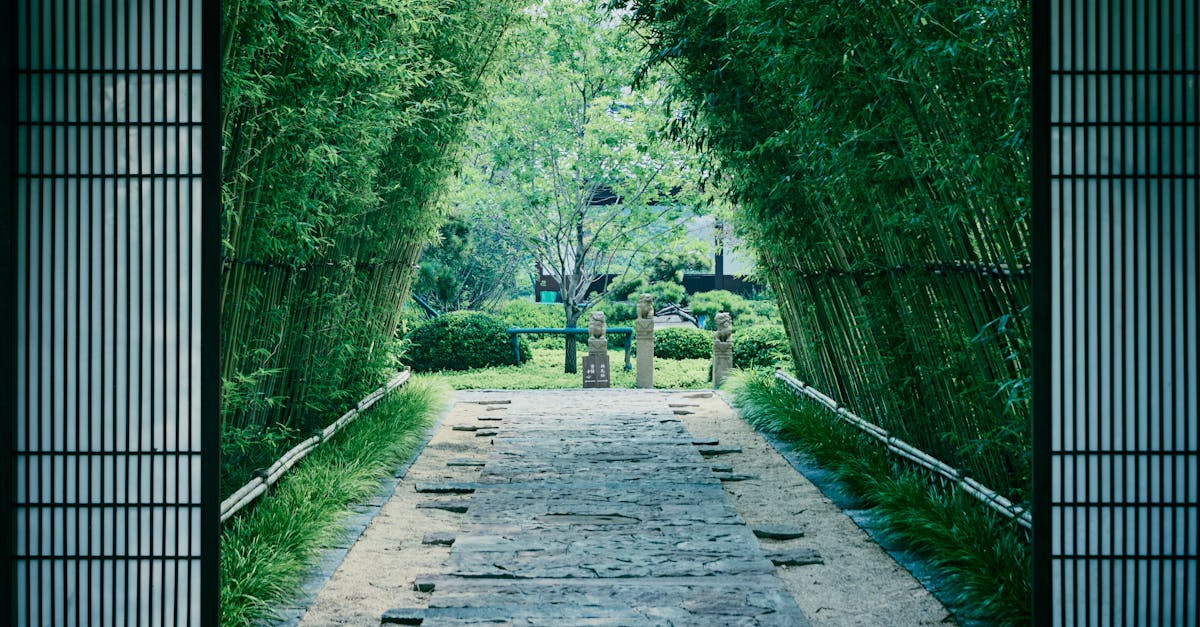A serene bamboo-lined pathway leading to a tranquil garden, ideal for meditation or relaxation.