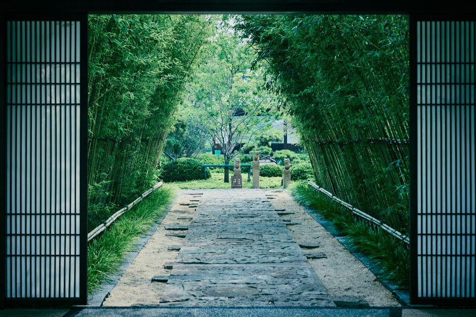 Landscaping Infographics Design Guide