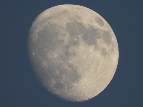 Free High-resolution image capturing the lunar surface in detail against a dark sky. Stock Photo
