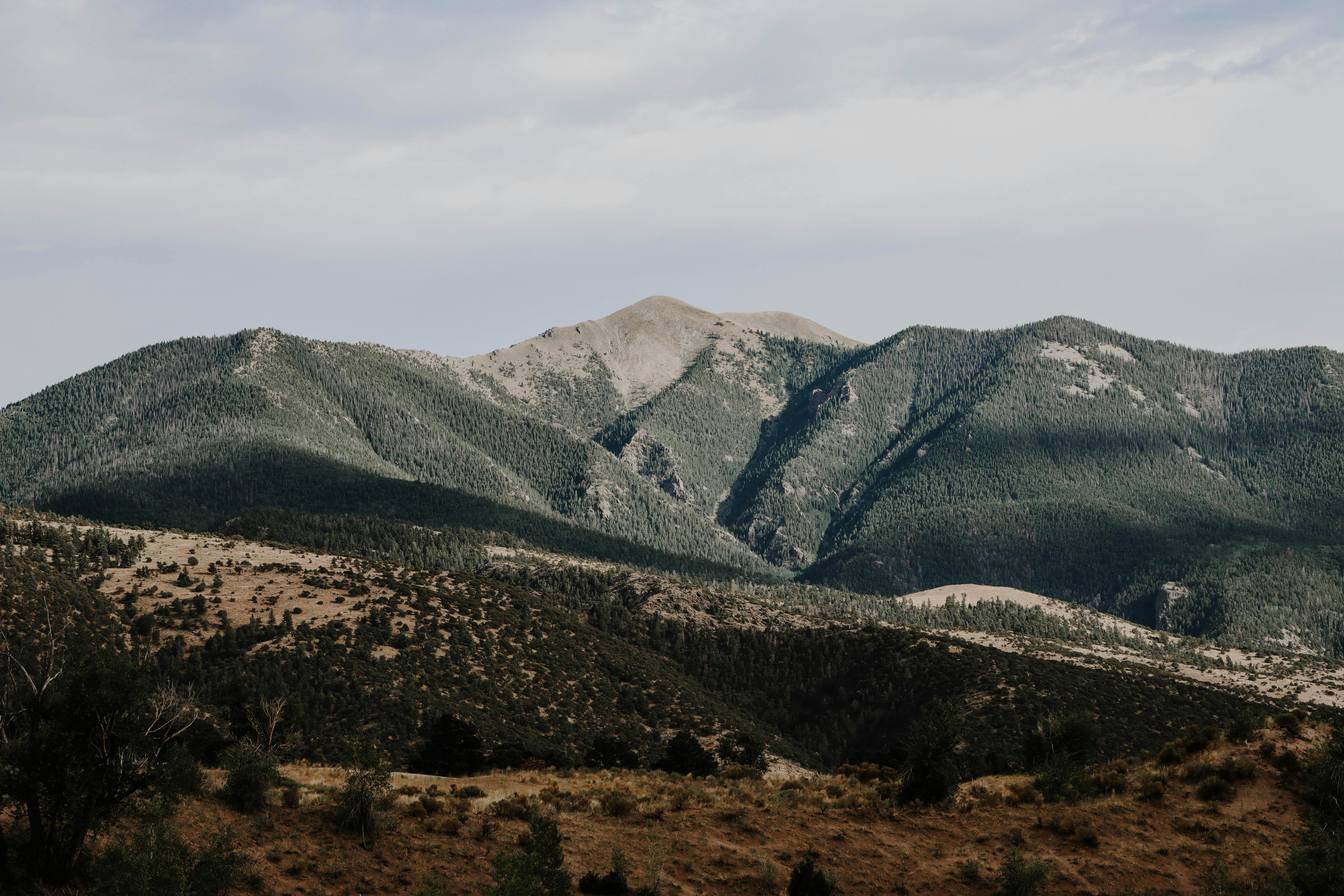 a mountain range with a few trees and grass