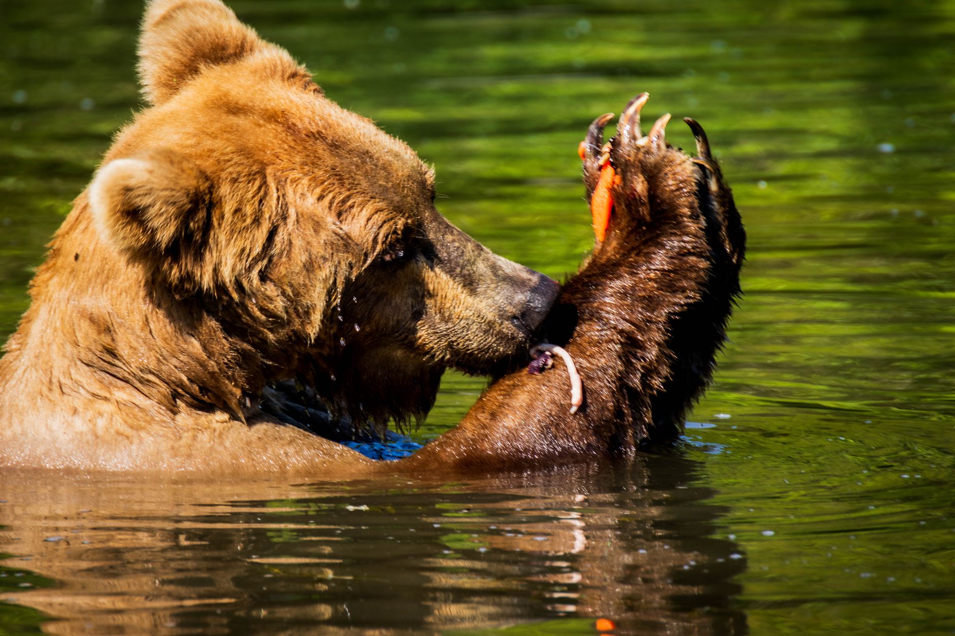 Alaska, USA