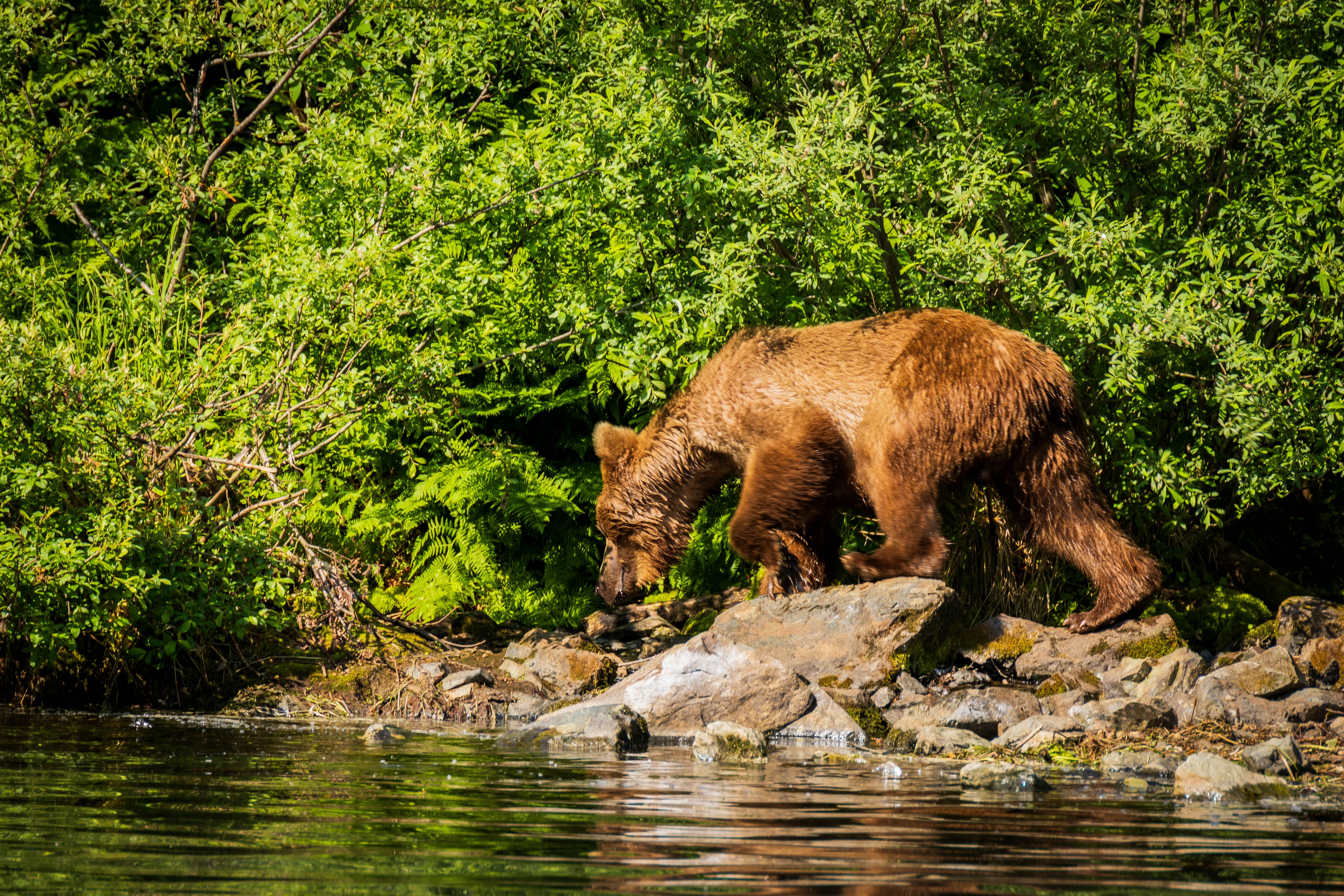 What to Pack for an Alaska Fishing Lodge Trip