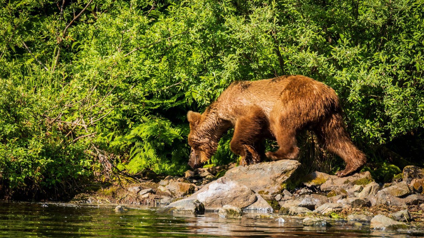 What to Pack for an Alaska Fishing Lodge Trip