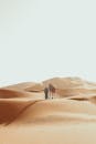 Desert Journey: A Man and His Camel