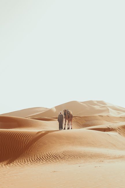 A lone nomad and camel navigate the vast sand dunes of Merzouga, Morocco.