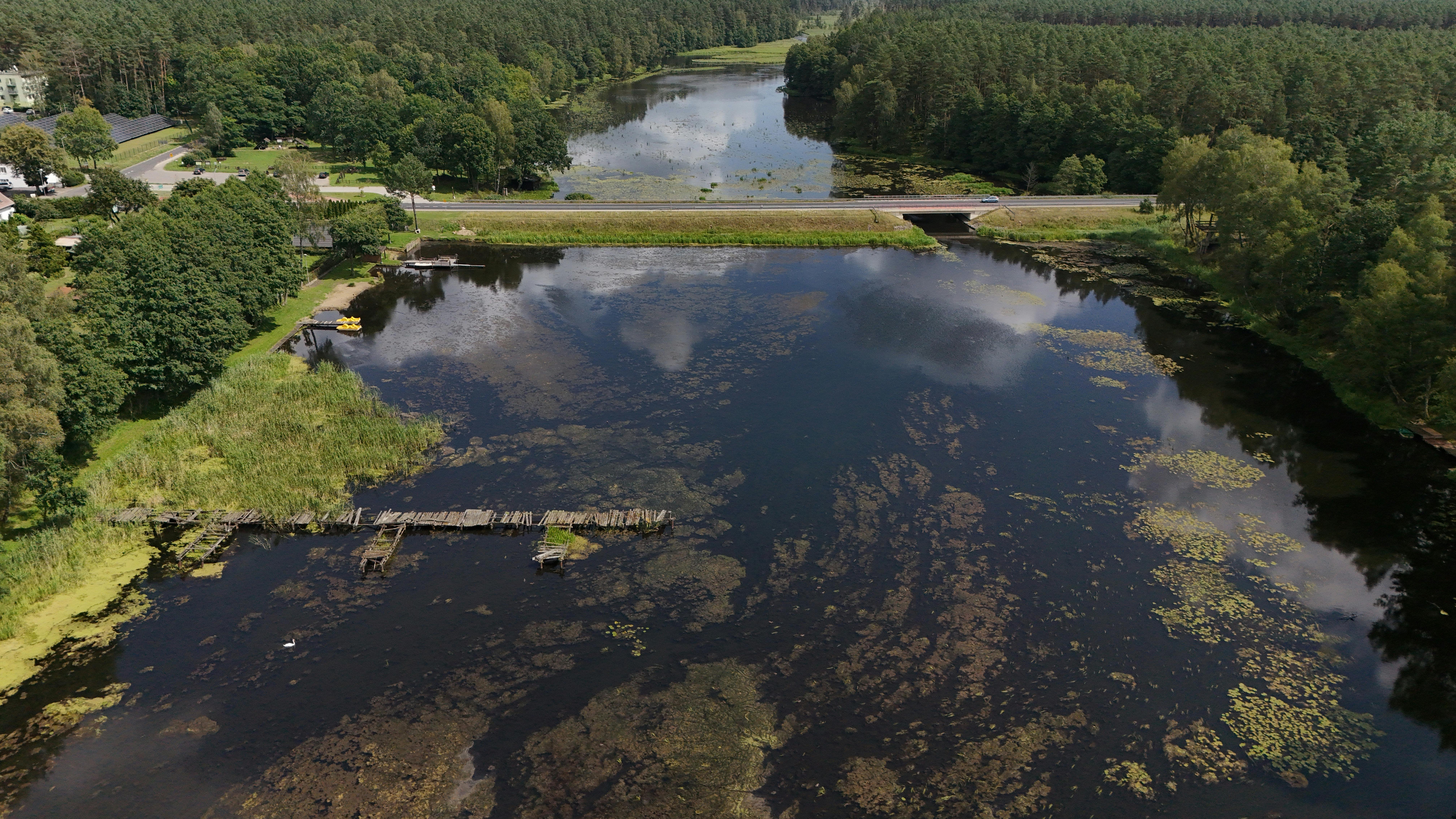 Rein Taaramäe pidas Jaapanis karmi etapi vastu