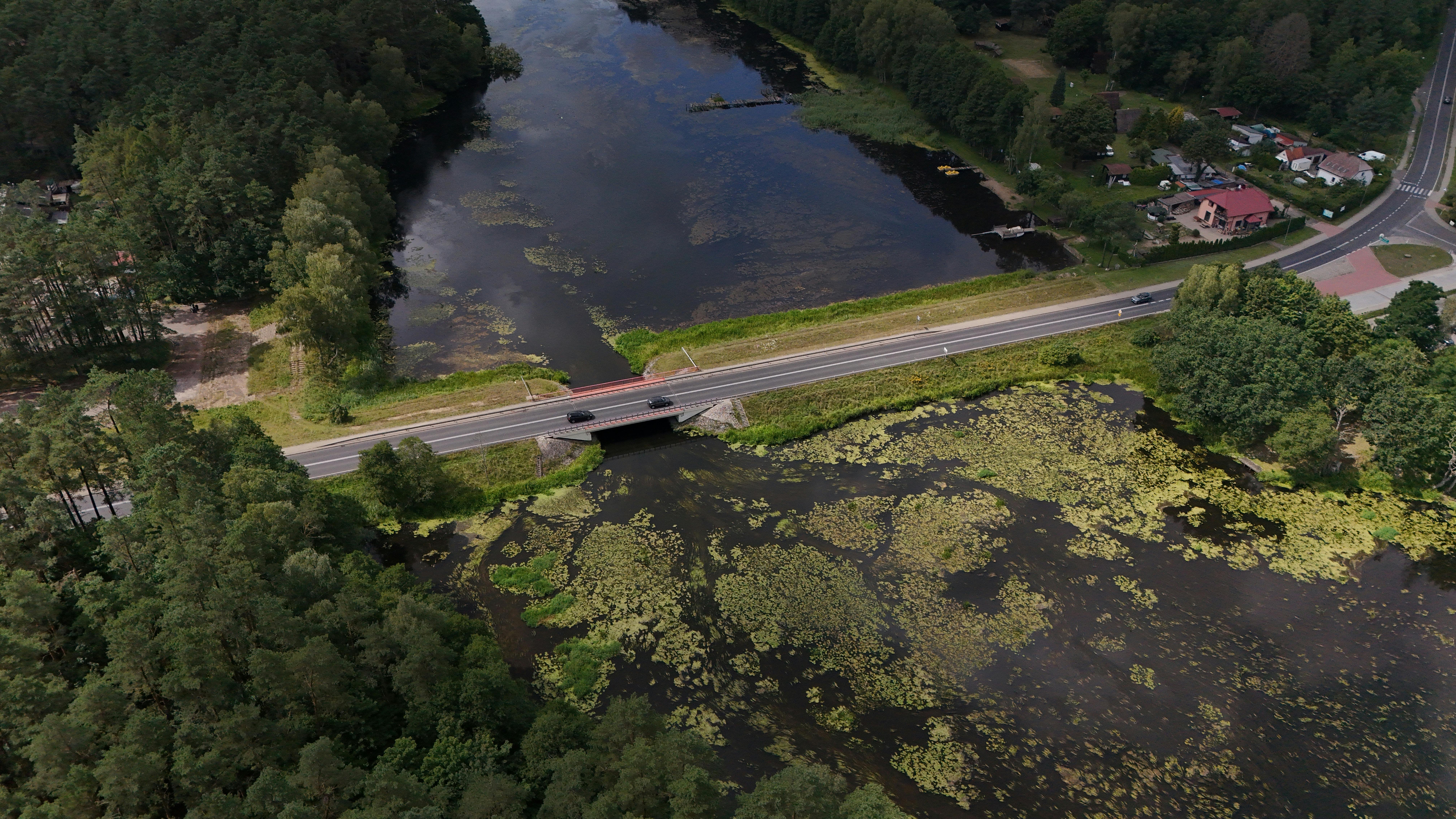 grátis Foto profissional grátis de aéreo, água, alegre Foto profissional