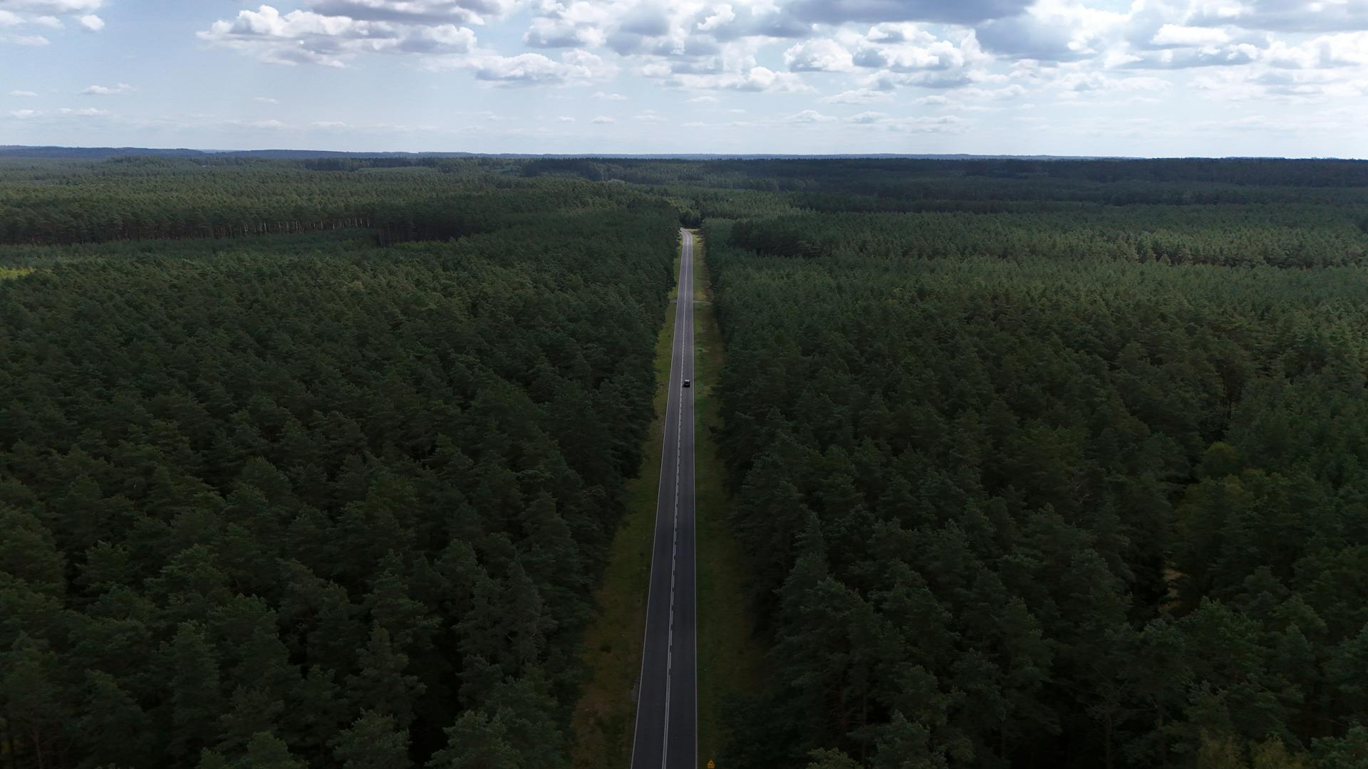 A long road stretches through dense forest, captured from above in the daytime.