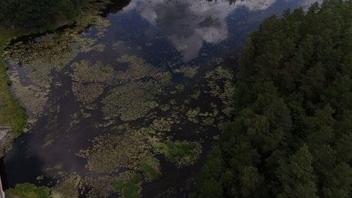 Free A stunning aerial view of a forest pond with cloud reflections and lush greenery. Stock Photo