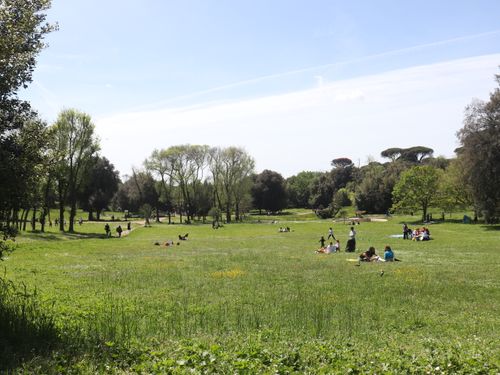 Free Parco Stock Photo