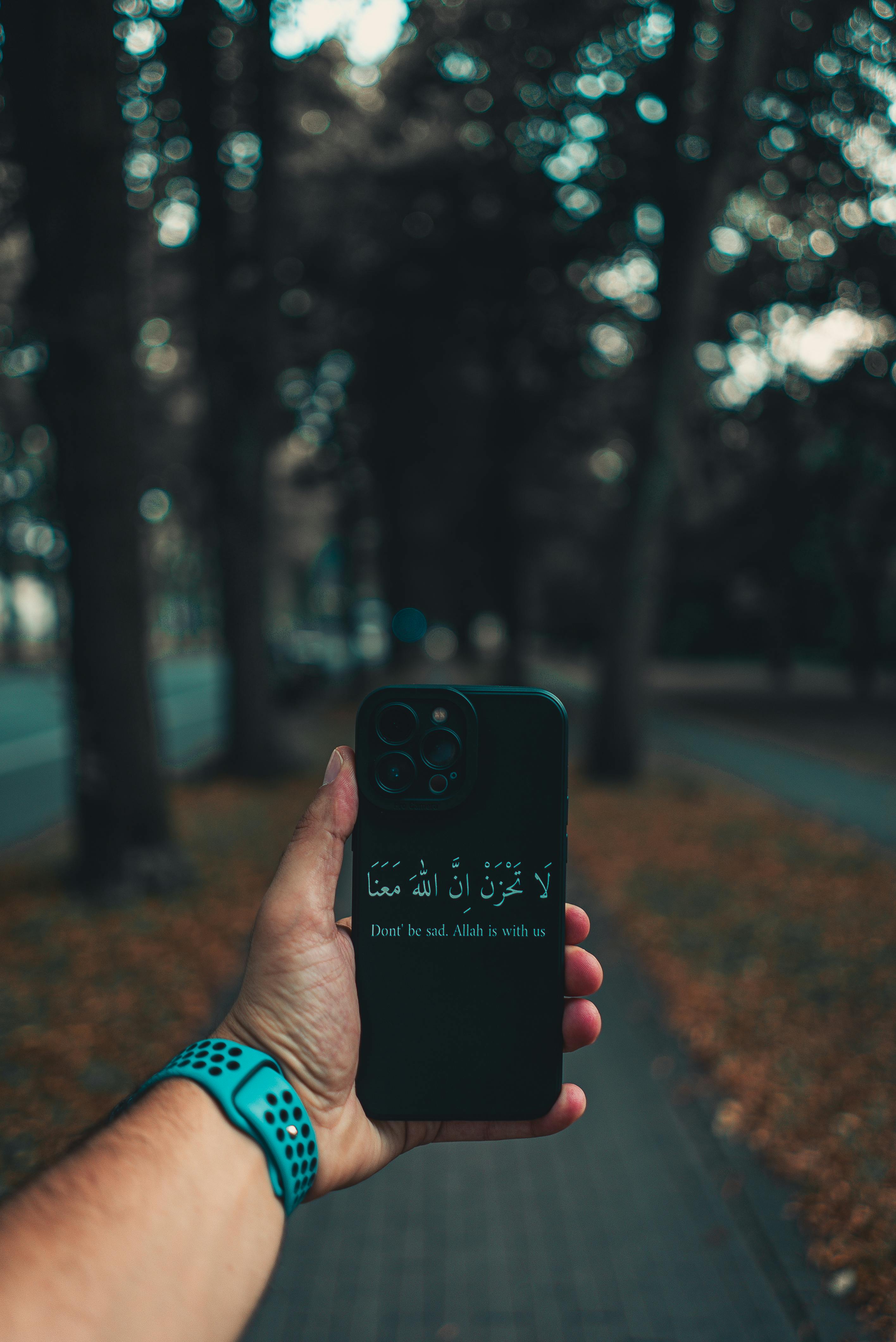 Gratuit Imagine de stoc gratuită din @în aer liber, apropiere, arbori Fotografie de stoc