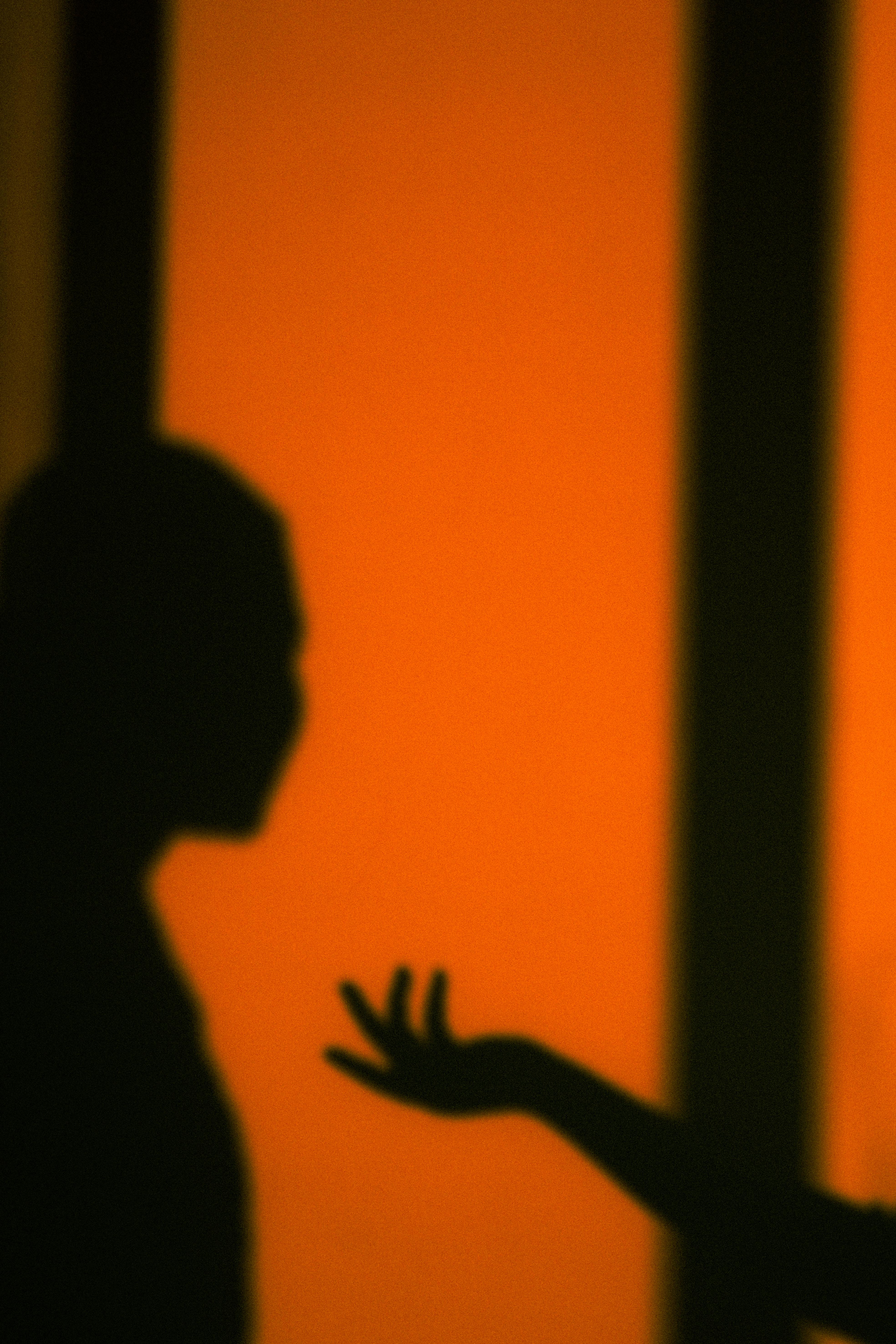 Artistic silhouette image with abstract shadow play and warm orange tones.