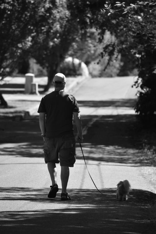 Free Black and white photo of a man walking his small dog on a quiet suburban street. Stock Photo